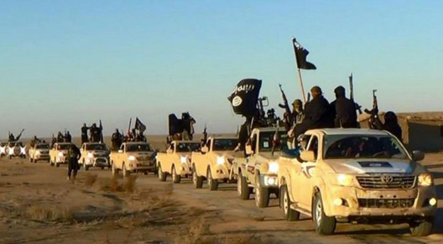 Islamic State convoy, Anbar Province, January 2014