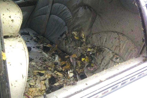 The taxi after Aaron Driver exploded a bomb in the back-seat